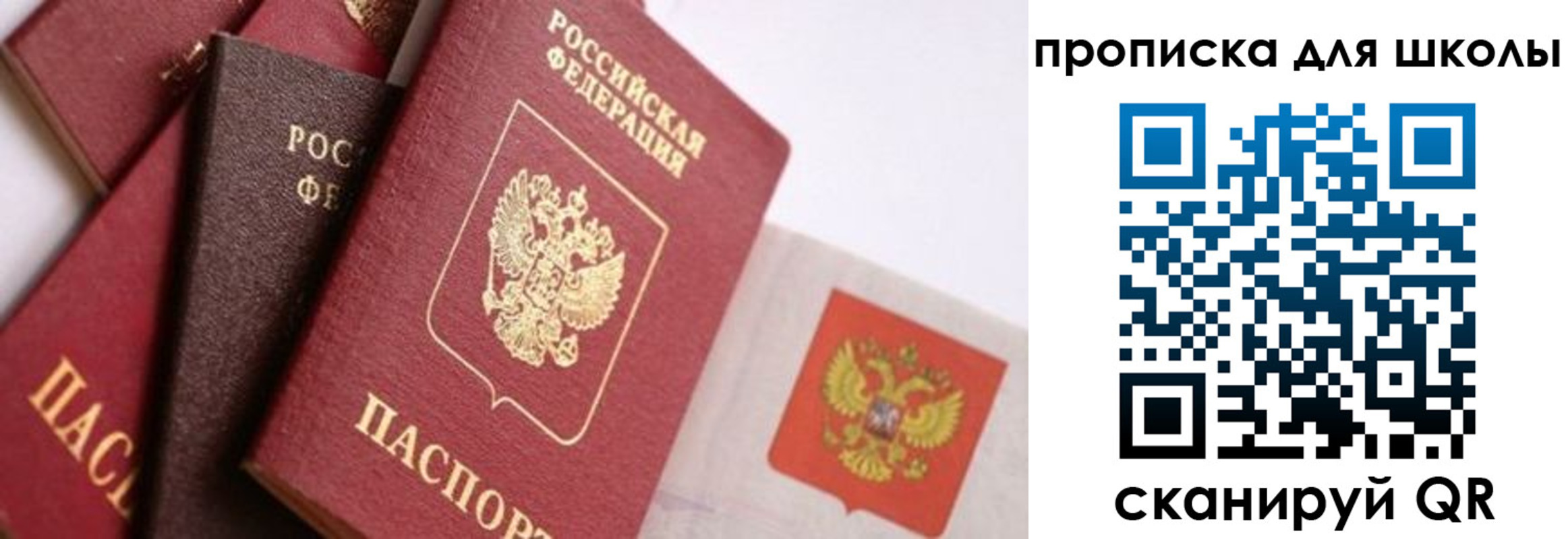 прописка поиск в Можге